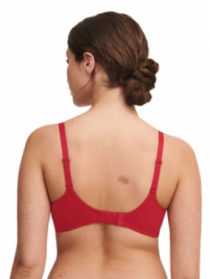 MIDNIGHT FLOWERS 05W SCARLET