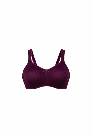 Leni 349 plum